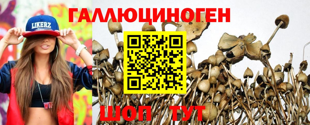 Псилоцибиновые грибы мицелий Энгельс