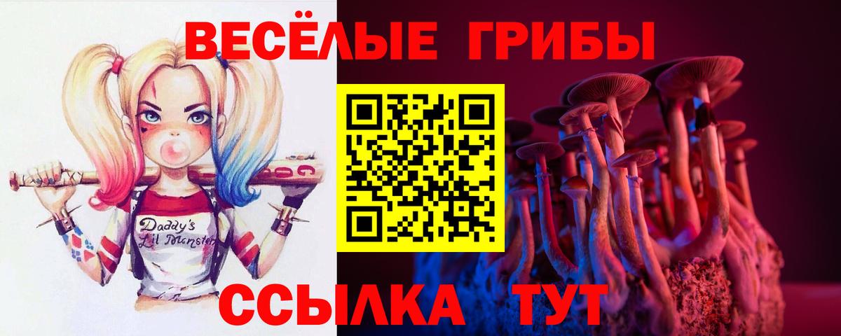 Энгельс  Галлюциногенные грибы MAGIC MUSHROOMS  купить   Вход с VPN 