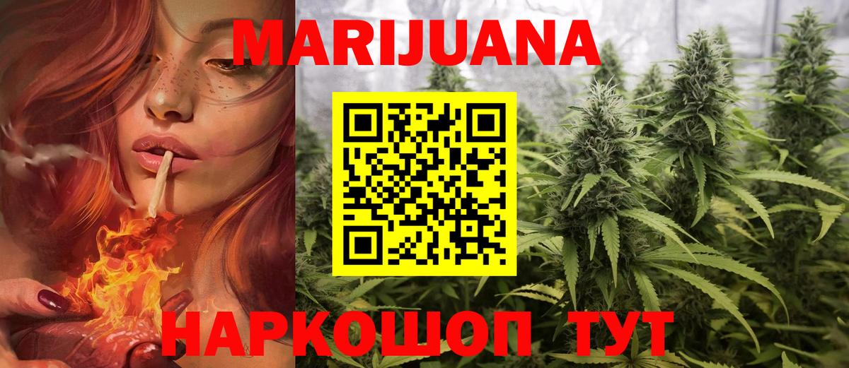 Каннабис OG Kush Энгельс